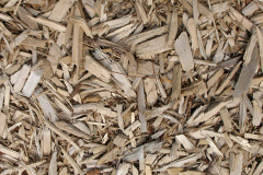 biomass boilers Selgrove